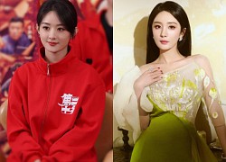 Zhao Liying received a rain of "bricks and stones" from public opinion, and Yang Kai decided to "add fuel to the fire"