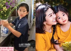 Late actress Mai Phuong's 4th year of death, daughter Lavie had a choking act