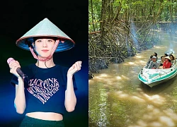 Jisoo quyên góp toàn bộ lợi nhuận kênh Vlog cho dự án rừng ngập mặn Cà Mau