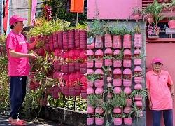 U70 man fulfills his dream of dyeing his house pink