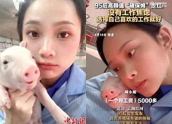 Hotgirl from Pedagogical University returns to her hometown to work as a "nanny" for pigs, her monthly salary is unbelievable!