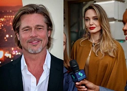 Angelina Jolie tiếp tục chỉ trích Brad Pitt về nhà máy rượu giá hơn 12 nghìn tỷ