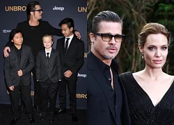 How is Brad Pitt depressed because he was abandoned by an outcast, after 8 years?