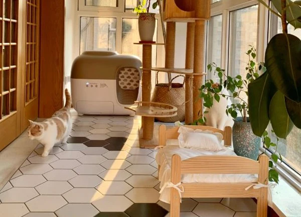 Sống trong căn hộ chill như quán cà phê, cô gái 29 tuổi nói không với kết hôn, chỉ nuôi mèo để bầu bạn