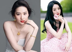 Liu Yifei complains about 'smelling smoke' of Trieu Le Dinh, her acting is far behind, she is crushed