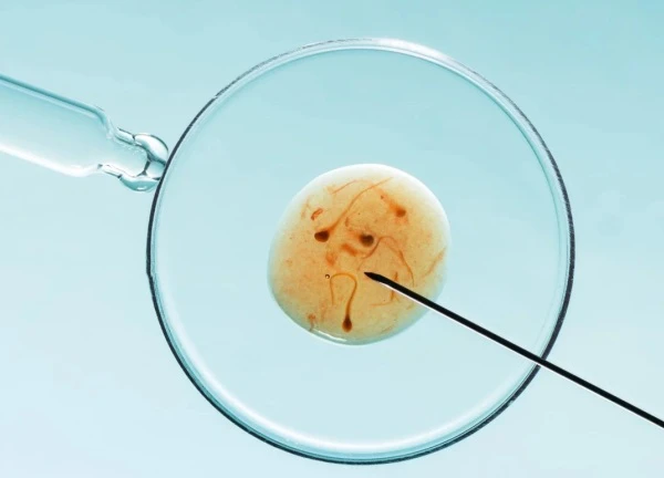 Bên trong ngành công nghiệp IVF trị giá hàng tỷ USD của châu Á