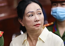 How did Ms. Truong My Lan illegally transfer more than 4.5 billion USD across the border?