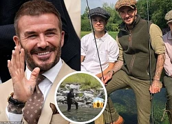 Beckham bị tẩy chay chỉ vì đi câu cá, nhờ phản ứng của CĐM mới vỡ lẽ?