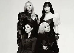 2NE1 tung giá vé concert trở lại sau 15 năm, fan Kpop trố mắt, bức xúc vạch mặt