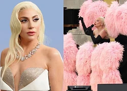 Lady Gaga was accused of plagiarism after her performance at the opening ceremony of the Paris Olympics, fans were shocked