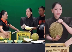 Hang Du Muc was mistreated after the durian live session, Quang Linh made a strange move