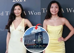 Tran Nguyen Nguyen: Contestant at Miss Hong Kong, fans react harshly