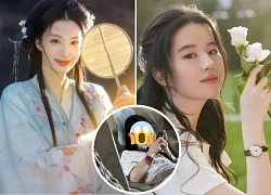 "Liu Yifei clone" lost fans due to bare face incident, suspicion of excessive app use?