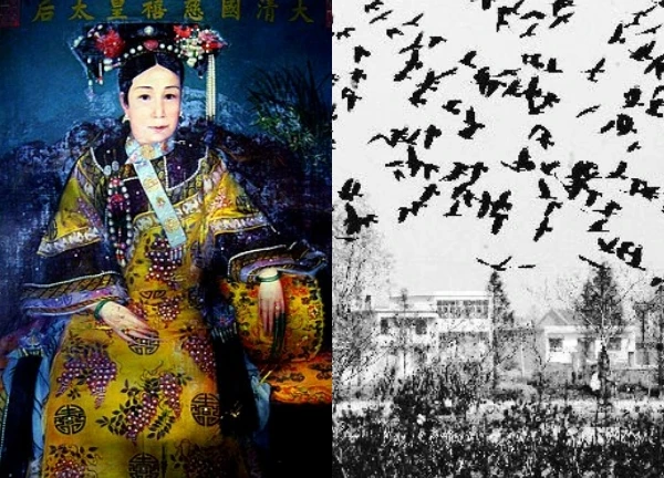 The day Empress Dowager Tu Xi was born had a strange phenomenon and a terrifying prophecy fulfilled