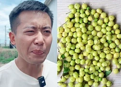 The fruit that made Quang Linh frown when he returned to Vietnam, Hang Du Mu also cried