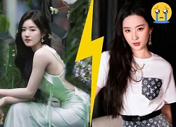 Trieu Lo Tu's popularity is overwhelming Liu Yifei, entering the top search results thanks to 1 look