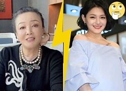 Barbie Hsu's ex-mother-in-law released 7 files accusing her of having an affair, shocking Cbiz?