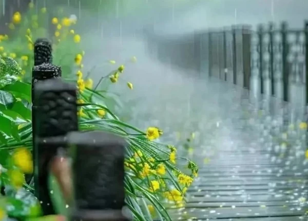 Sau tuổi 40, 3 con giáp đột phá năng lực, thần May mắn ưu ái, mọi nẻo đường đều bật đèn xanh