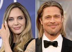 Brad Pitt lost to Angelina Jolie, determined to claim the property and not let Pax Thien Dong