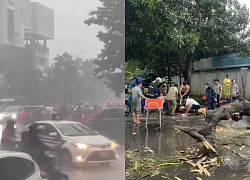 Hanoi: Typhoon Yagi thunderstorm kills trees, chaotic traffic