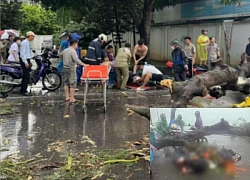 Hanoi: Sad for the situation of the mother who was crushed to death by a tree uprooted, preparing to go to Korea