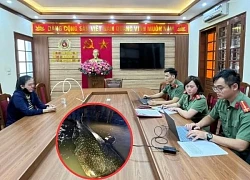 Quang Ninh: The person who spread the news that 'a human hand was found in the belly of a fish caught' has been punished