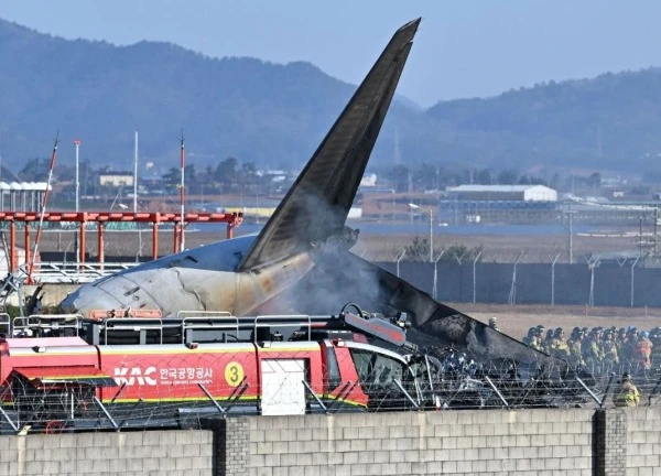 Lỗ hổng trong hệ thống ứng phó với chim vào thời điểm máy bay Jeju Air gặp nạn