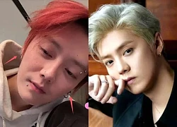 Peak Luu Loc Ham drank profanity, received a sentence of 'suspension', ran out of comeback road?