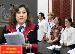 The court announced the first instance verdict in the case of Meritorious Artist Vu Linh, commenting on "adopted children - biological children"