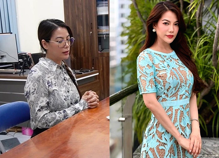 Diễn viên Trương Ngọc Ánh bị bắt vì tội gì?