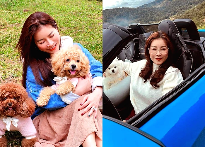 Danh hài từng đi phục vụ bàn giờ làm chủ khách sạn, tuổi 44 lập sẵn di chúc