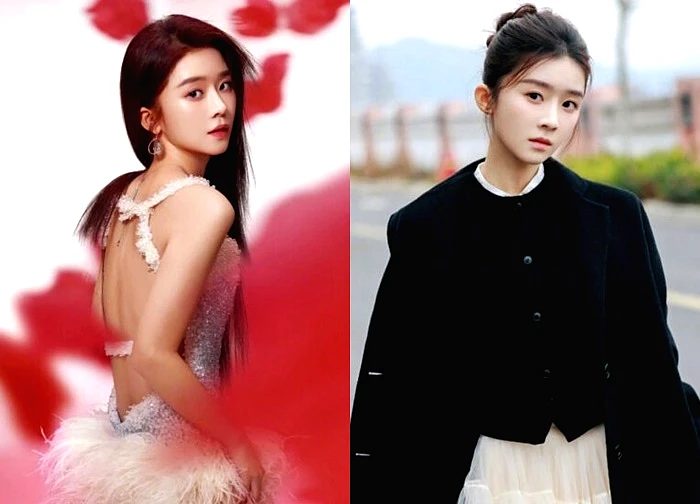 Nữ diễn viên N. bất ngờ bị cắt sóng, gỡ phim và xóa bỏ mọi thông tin trên Internet