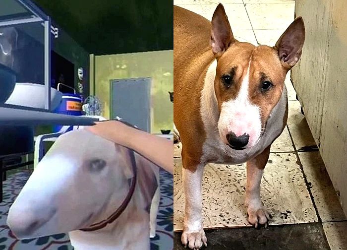 Chủ quán 'sợ bán không xuể' vì chó giống trong game Quán phở anh Hai