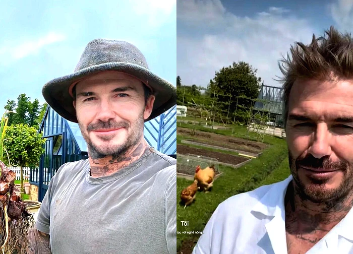 David Beckham abandoned the "aura", wore a T-shirt as a farmer raising chickens, living peacefully