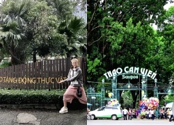 Son Tung M-TP check-in to the Botanical Garden, creating a spillover effect to help increase revenue