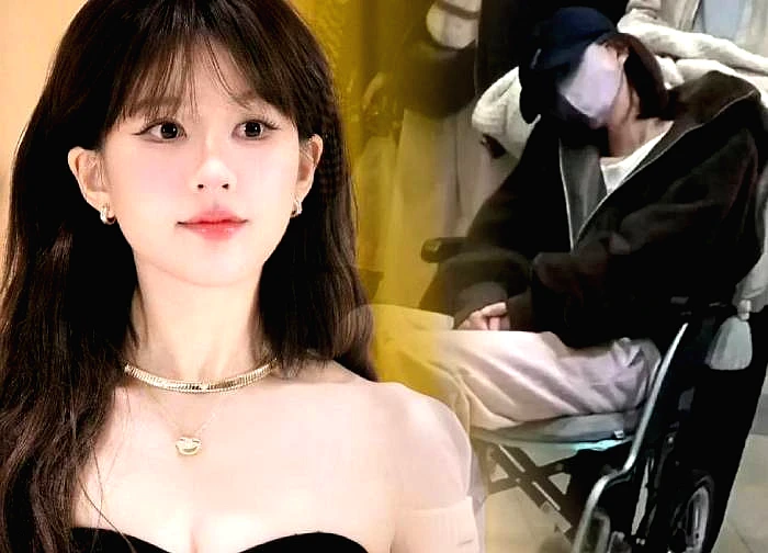 Triệu Lộ Tư giành chiến thắng, chấm dứt với công ty cũ, "quả ngọt" cho đấu tranh