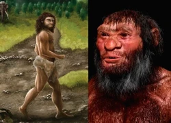 Giải mã DNA người Jōmon: Hé lộ ngoại hình và bí ẩn di truyền cư dân cổ Nhật Bản