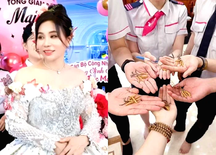 Mailisa pays 100 million salary to workers, employees reveal shocking secret