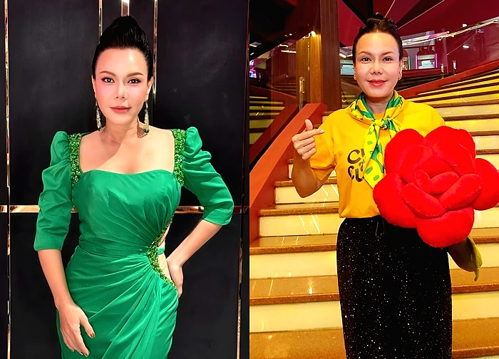 Tình hình hiện tại của Việt Hương