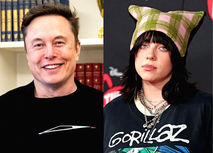 Billie Eilish shocked when publicly accusing Elon Musk of being a coward in the midst of world difficulties