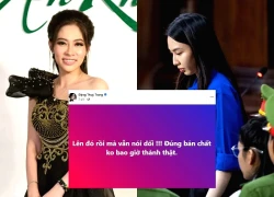Dang Thu Thao's sister posted a hidden status, accusing Thuy Tien of lying in court, netizens were shocked!