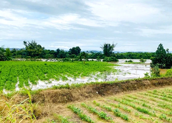 Hồ thủy điện trên sông Đồng Nai xả tràn không báo trước gây ngập