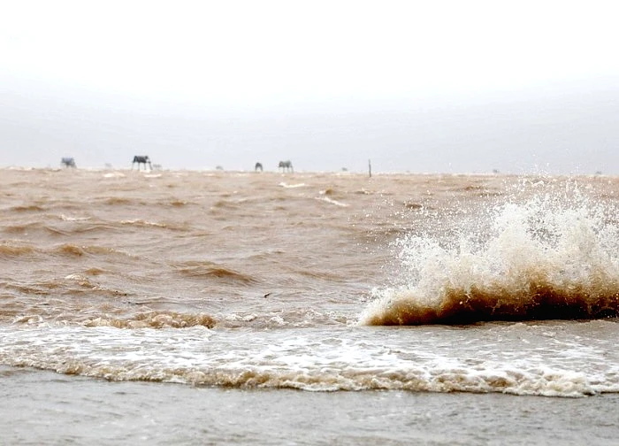 Tin bão số 15 mới nhất: Gió giật cấp 15, 'có thể lật úp tàu thuyền'