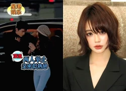 It is widely reported that Angelababy is dating Tran Quan Hy, her ex-husband recruits a "new chicken" just like his ex-wife