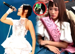 Phuong My Chi lives three lives, travels over 1000km to 'repay debts', and reveals the identity of her creditors?