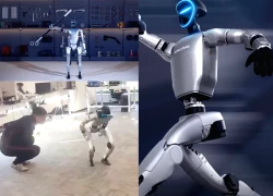 Robot hình người gây "bão mạng", đến Elon Musk cũng phải "cười ra nước mắt"