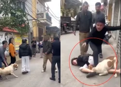 Vụ thả chó cắn người ở Hà Nội gây phẫn nộ, phút kinh hoàng giữa khu dân cư