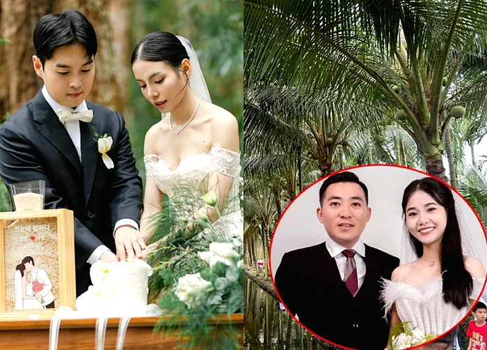 Chú rể làm tiệc cưới ở vườn dừa 10.000m và loạt đám cưới triệu view năm 2025