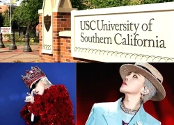 G-Dragon hóa 'nghiên cứu mẫu', bước đi táo bạo, sinh viên học những gì?