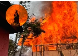 Tại sao năm 2026 Bính Ngọ được gọi là năm "Song Hỏa", làm gì để tránh vận xui?